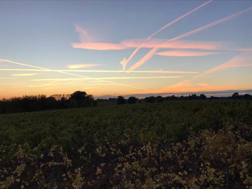 Hotel Mersea Island Vineyard