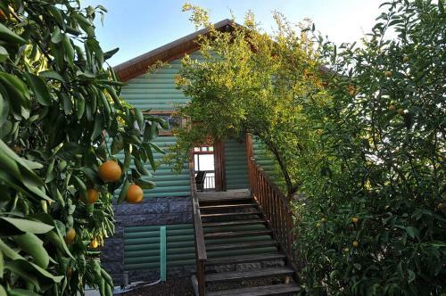 Lodge Sharvit Hakesem