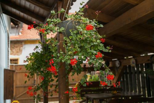 Hostal Pensiune Casa Richter