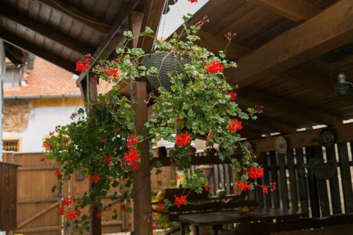 Hostal Pensiune Casa Richter