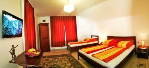 Hostal Pensiunea Sighisoara