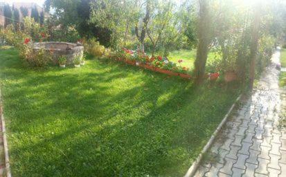 Hostal Pensiunea Sighisoara