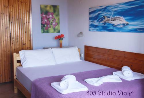 Apartamento Fasoli Studios