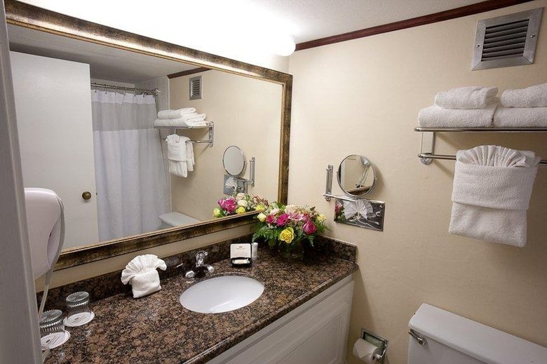 Hotel Crowne Plaza Resort Asheville
