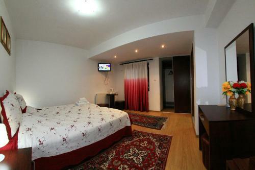 Hostal Pensiunea Elena