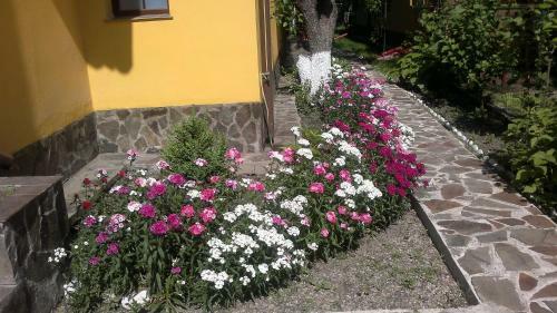 Hostal Pensiunea Elena