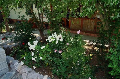Hostal Pension Sharaiman