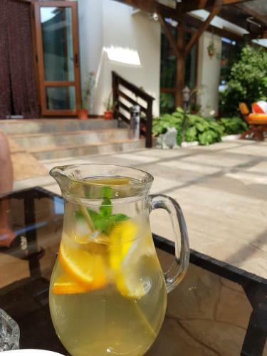 Hostal Pensiunea La Lipoveanu