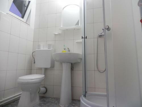 Bed & Breakfast Pension Puiu