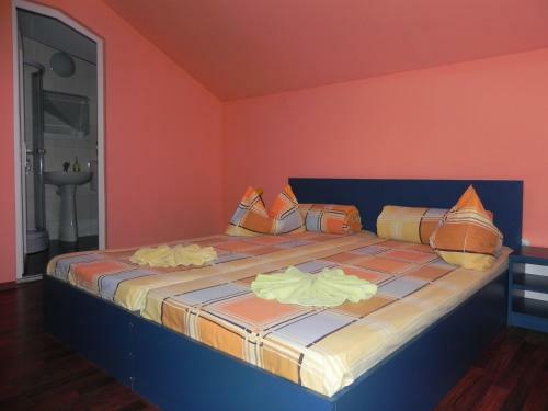 Bed & Breakfast Pension Puiu