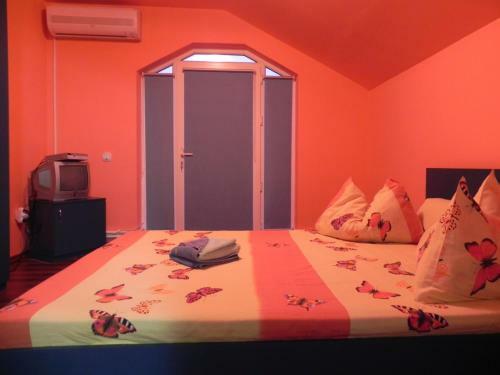 Bed & Breakfast Pension Puiu