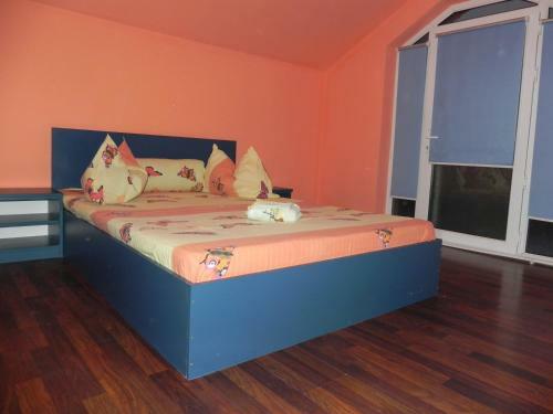 Bed & Breakfast Pension Puiu
