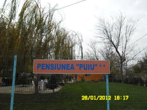 Bed & Breakfast Pension Puiu