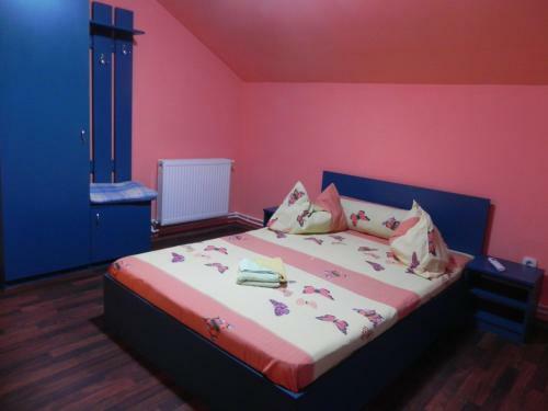 Bed & Breakfast Pension Puiu