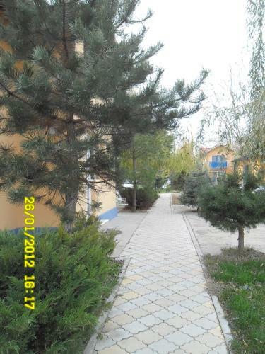 Bed & Breakfast Pension Puiu