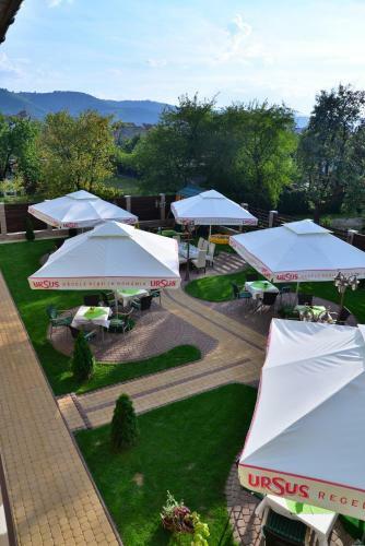 Bed & Breakfast Pensiune Restaurant Flamingo