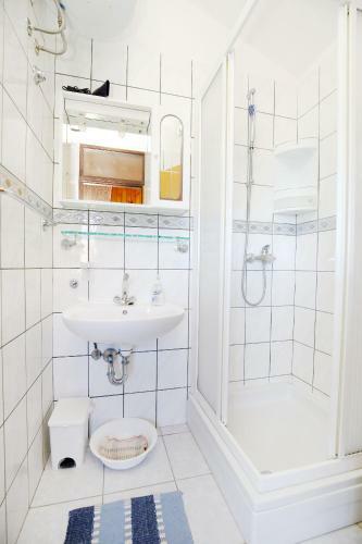 Apartment Kozino Violetta