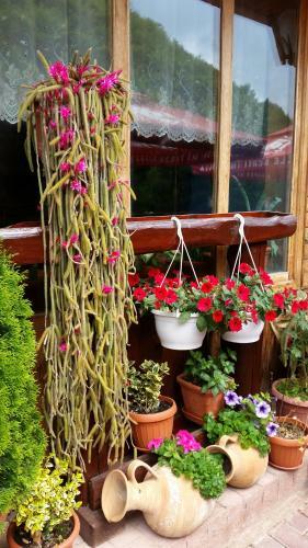 Hostal Pension Curmatura Stezii