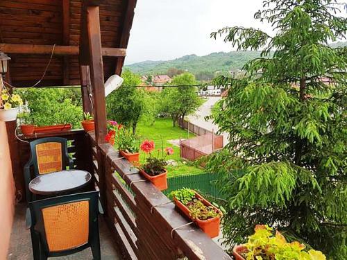 Hostal Pension Piscul Soarelui
