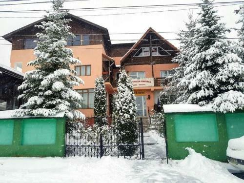 Hostal Pension Piscul Soarelui