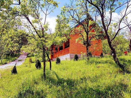 Hostal Pension Piscul Soarelui