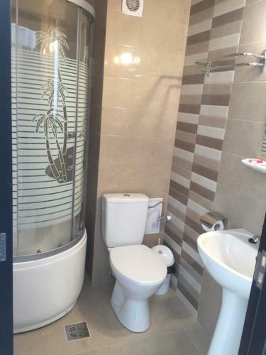 Hostal Pensiunea Andra Costinesti