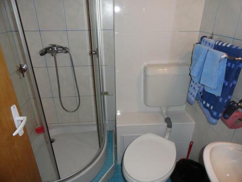 Hostal Pensiunea Mikelis International