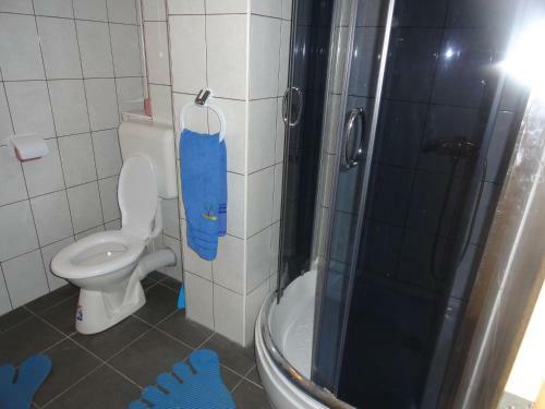 Hostal Pensiunea Mikelis International