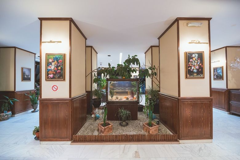 Hotel Belvedere Predeal