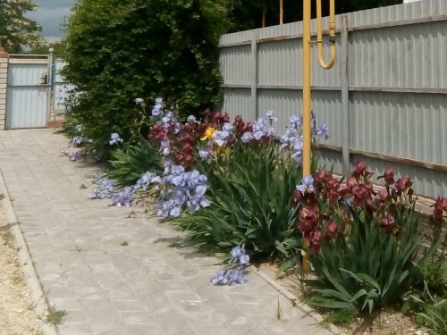 Holiday Home On Chernomorskaya