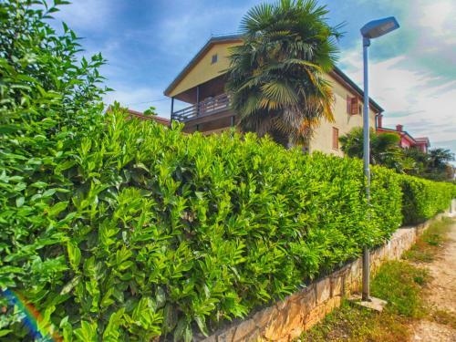 Hostal Apartments And Rooms Novigrad 1624