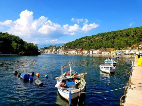 Apartment Novigrad Holiday
