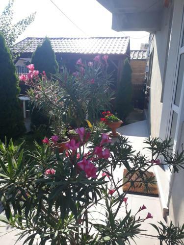 Hostal Vila Talisha