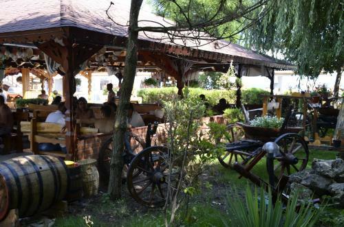 Hotel Poienita