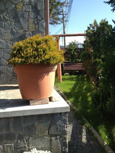 Hostal Pension Casa Ali & Andu