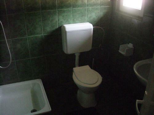 Hostal Pensiunea Montan Busteni