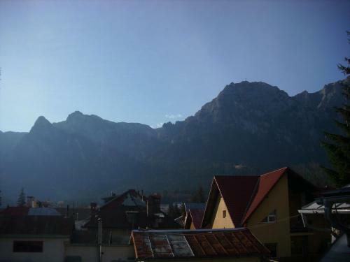 Hostal Pensiunea Montan Busteni