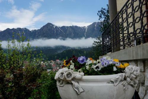 Hostal Vila Leonida