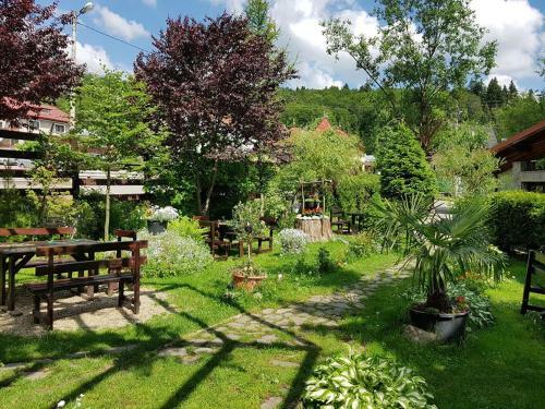 Hostal Pensiunea Liziera