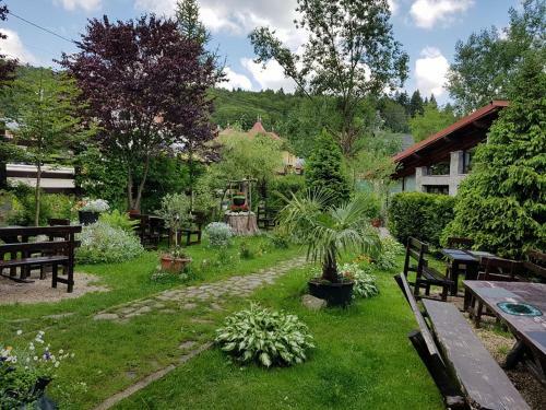 Hostal Pensiunea Liziera