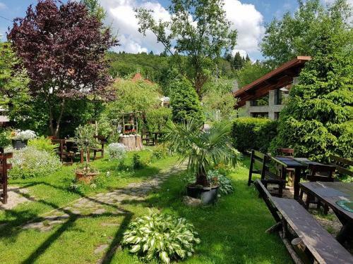 Hostal Pensiunea Liziera