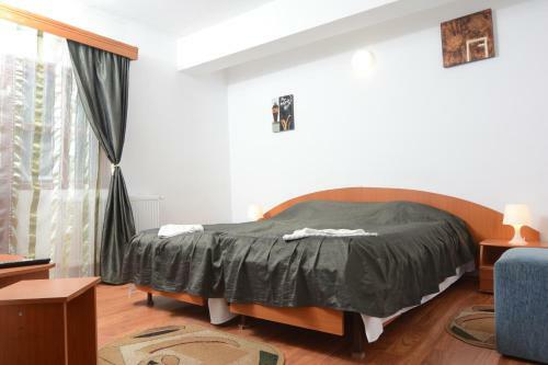 Hostal Pensiunea Liziera