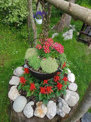 Hostal Pensiunea Liziera