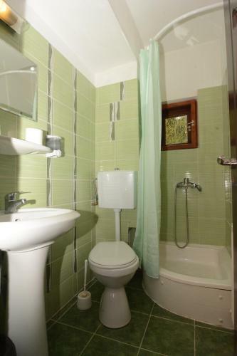 Hostal Pensiunea Liziera