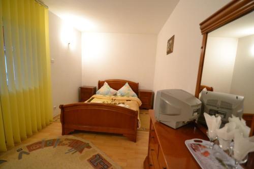 Villa Vila Ioana