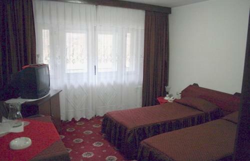 Hostal Pensiunea Tranzit