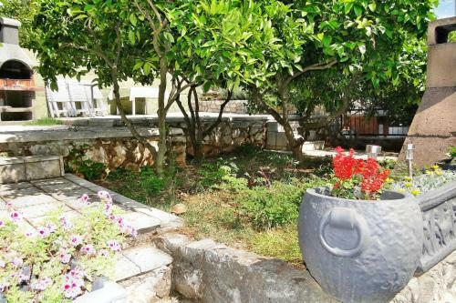 Holiday Home Apartment Tedo