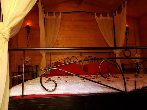 Robinson Accommodation Freedom