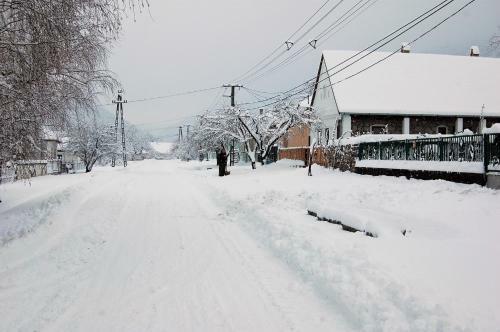 Hostal Vitamin B63 Vend�gh�z