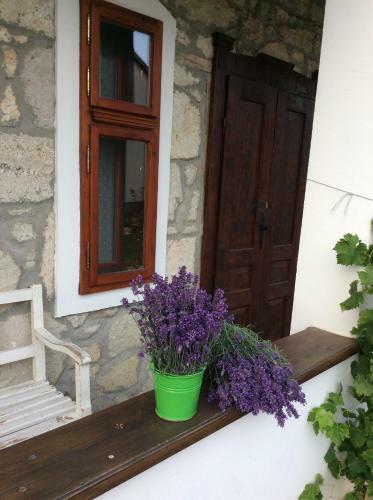 Hostal Vitamin B63 Vend�gh�z